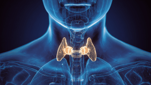 Сбой эндокринной системы