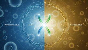 Альфа-липоевая кислота: что это, польза и применение