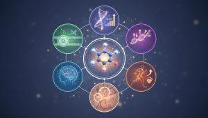 НМН (никотинамидмононуклеотид): что говорит наука. 5 эффектов добавки у людей