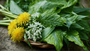 Суть тренда: почему первая зелень стала предметом интереса нутрициологов