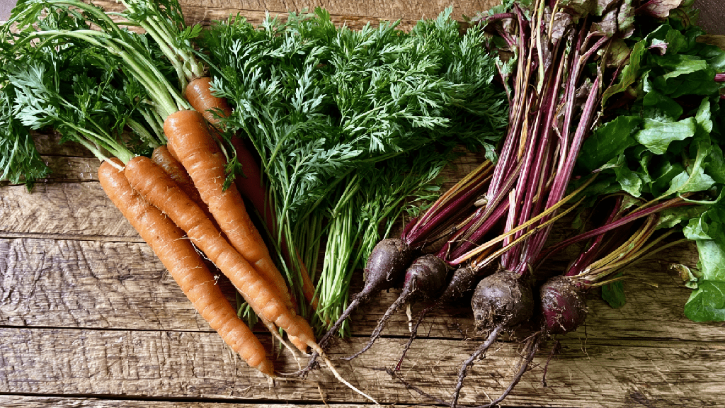 Zero Waste: ботва моркови и свеклы — 7 проверенных способов применения